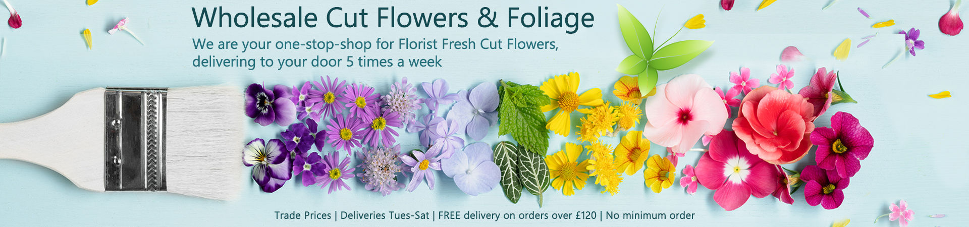 FlowerSuppliers.co.uk cut flowers at wholesale prices